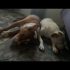 Meet your Posher, Christopher